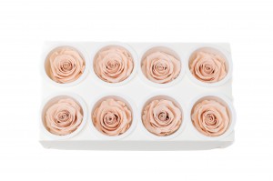 preserved-kiara-rose-heads-l-37.
