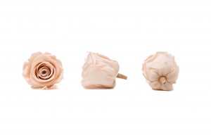 preserved-kiara-rose-heads-l-37.