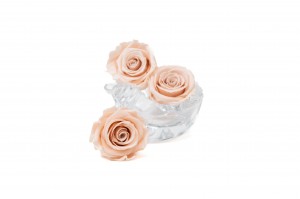 preserved-kiara-rose-heads-l-37.