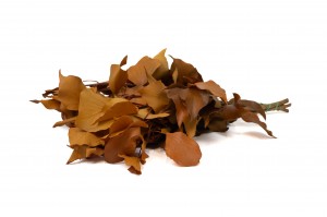 preserved-ivy-6.