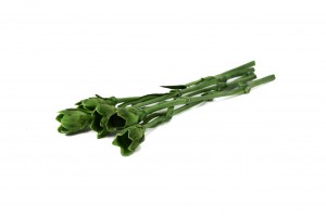 preserved-carnation-stems-30cm-30