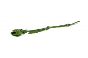 preserved-carnation-stems-30cm-30.