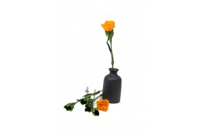 preserved-carnation-stems-30cm-30.