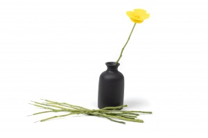 tiges-de-fleurs-stabilisees-30.