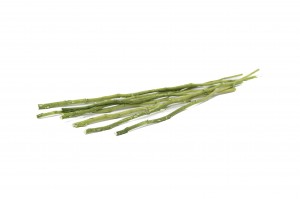 tiges-de-fleurs-stabilisees-30