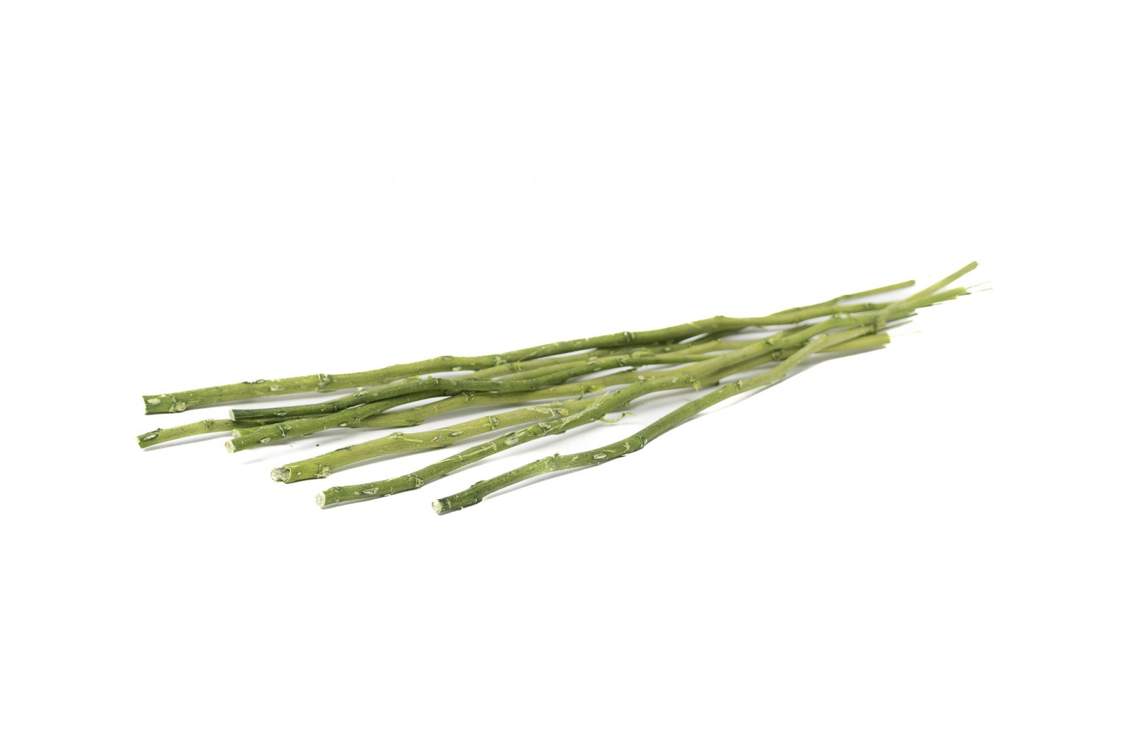 tiges-de-fleurs-stabilisees-30