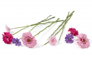 tiges-de-fleurs-stabilisees-30.