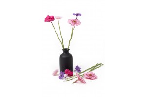 tiges-de-fleurs-stabilisees-30.