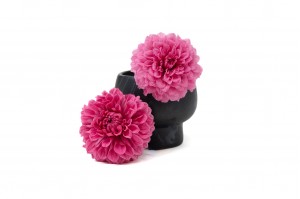 dahlia-stabilise-30.