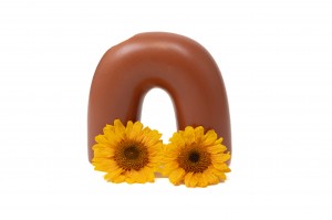 stabilisierter-sonnenblumenkopf-30.