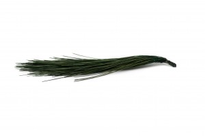 stabilisierte-langblatt-kiefer-30.