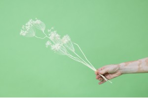 stabilisiert-fenchel-30.