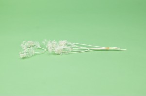 stabilisiert-fenchel-30.