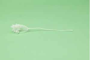 stabilisiert-fenchel-30.