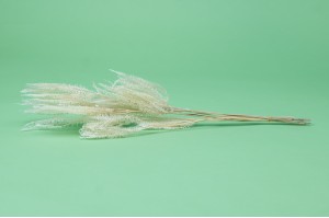 stabilisierter-schirmfarn-30.