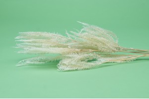 stabilisierter-schirmfarn-30.