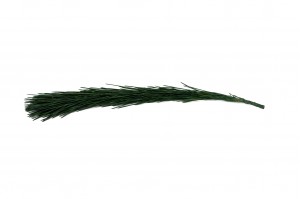 branches-de-pin-stabilises-30.