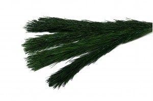 branches-de-pin-stabilisees-30