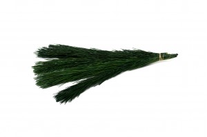 branches-de-pin-stabilisees-30.