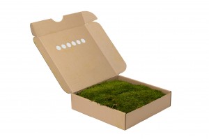 mousse-plate-stabilisee-boite-26.