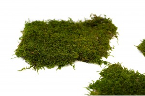 mousse-plate-stabilisee-boite-26.
