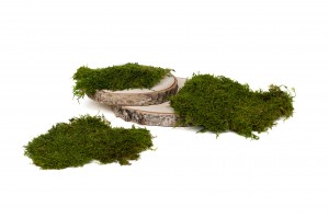 mousse-plate-stabilisee-boite-26.
