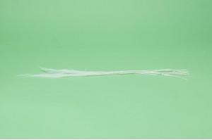 dried-agrostis-39.