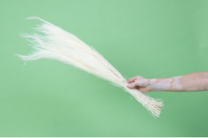 dried-agrostis-39.