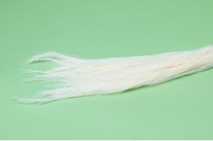 agrostis-sec-39