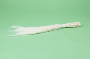 dried-agrostis-39.