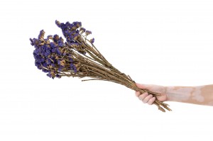 getrocknete-statice-sinuata-18.