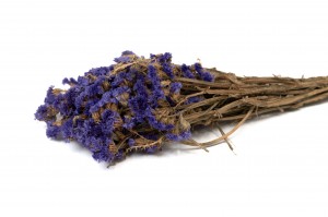 getrocknete-statice-sinuata-18.
