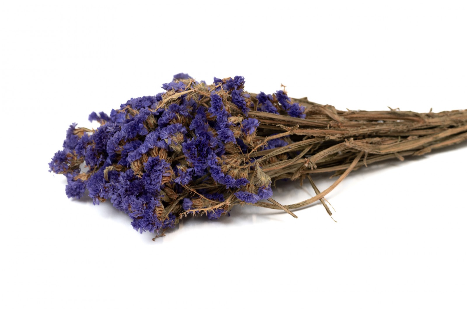 dried-statice-sinuata-18