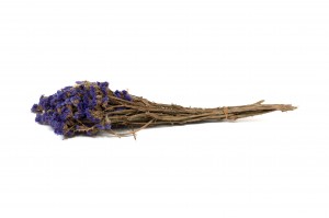 getrocknete-statice-sinuata-18.