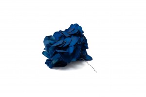 preserved-posy-hydrangea-14.