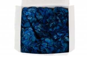 preserved-posy-hydrangea-14.