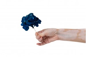 preserved-posy-hydrangea-14.