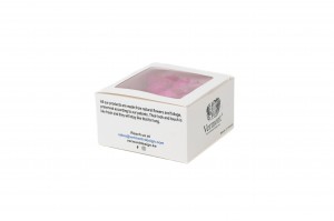 preserved-posy-hydrangea-14.
