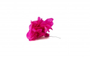 preserved-posy-hydrangea-14.