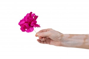 preserved-posy-hydrangea-14.