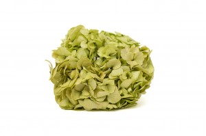 preserved-hydrangea-14.