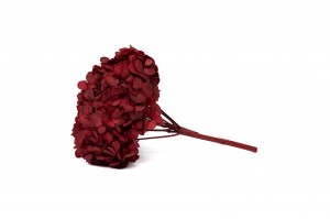 preserved-hydrangea-14.