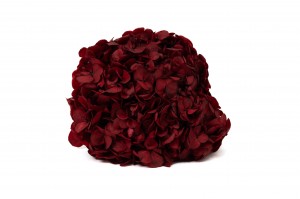 preserved-hydrangea-14.