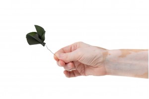 preserved-posy-eucalyptus-leaves-14.