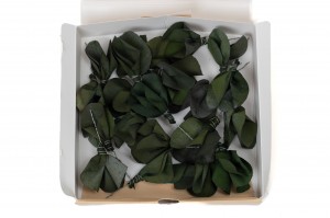 preserved-posy-eucalyptus-leaves-14.