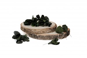 posy-feuilles-eucalyptus-stabilise-14