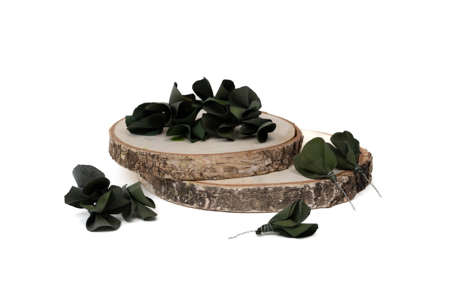 Preserved posy eucalyptus leaves (14) preserved-posy-eucalyptus-leaves-14