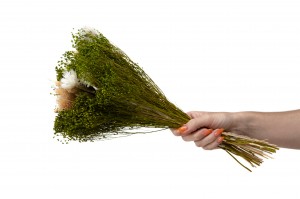 bouquet-de-fleurs-sechees-10.
