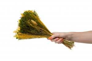 bouquet-de-fleurs-sechees-10.