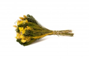 bouquet-de-fleurs-sechees-10.